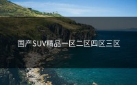 国产SUV精品一区二区四区三区