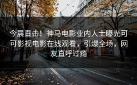 今晨直击！神马电影业内人士曝光可可影视电影在线观看，引爆全场，网友直呼过瘾