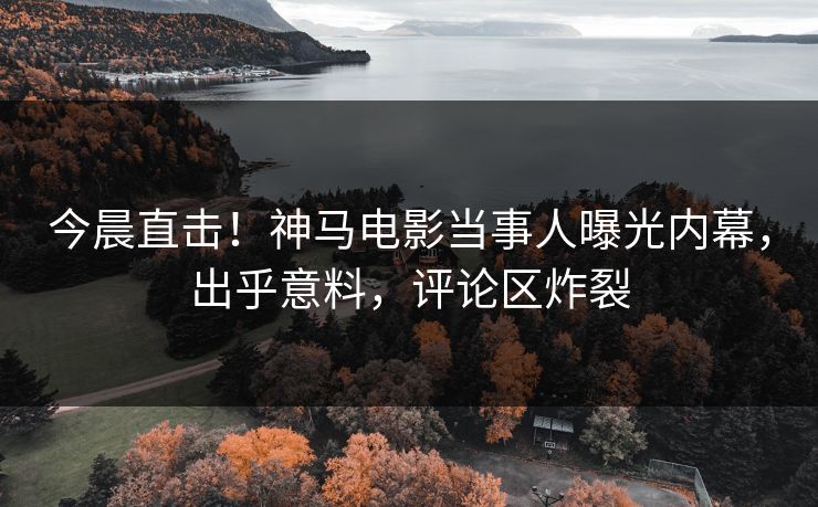 今晨直击！神马电影当事人曝光内幕，出乎意料，评论区炸裂