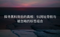 探寻黑料背后的真相：91网址导航与被忽略的标签组合